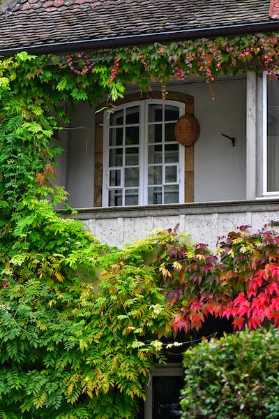 Enhance Your Home with Replacement Windows